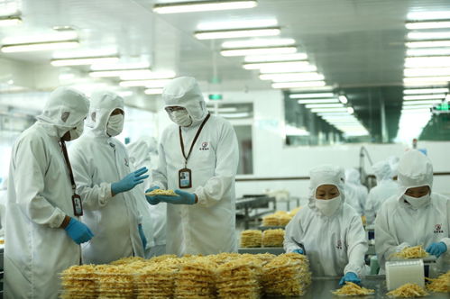 檢測服務(wù)為翼，助力山東即墨企業(yè)振翅高飛