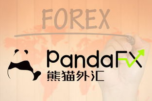 外匯交易資產(chǎn)管理進階指南 構(gòu)建穩(wěn)健的投資框架